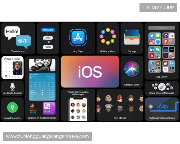 尊龙app苹果版功能介绍，全面满足你的多样化娱乐需求