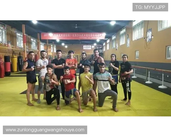 尊龙人生就是搏下载：深度解析人生搏击的智慧与策略