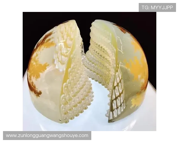 尊龙凯时棋牌：尊龙凯时棋牌的历史发展与未来发展方向