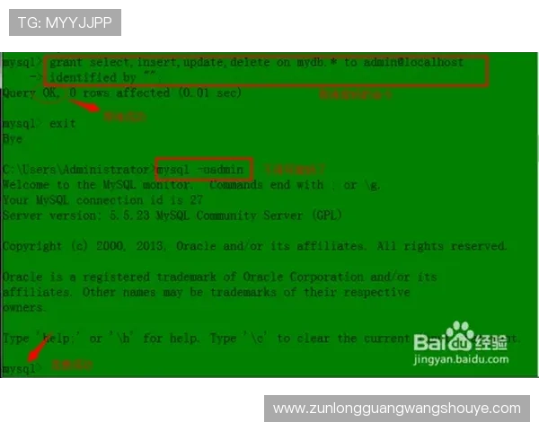 尊龙备用网址：用户体验提升技巧与常见操作指南