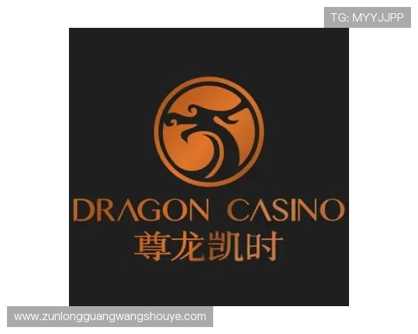 揭秘尊龙凯时在数字娱乐领域的技术创新与应用