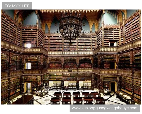 选择尊龙d88可靠送38元，专业分析平台安全性与优惠力度全面解析